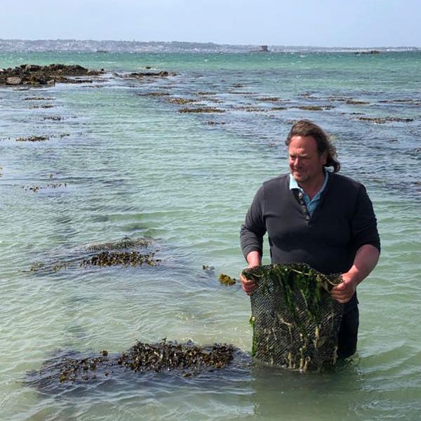 Guernsey and Herm Oysters.